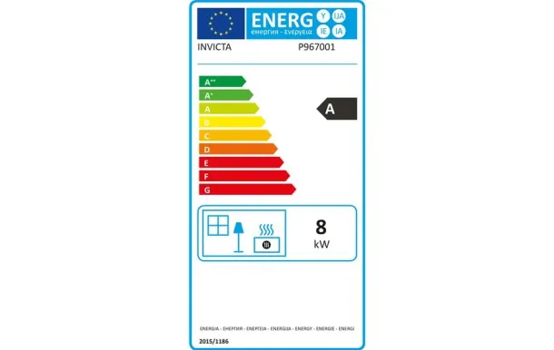 INVICTA Insert - Foyer à boi P967001
